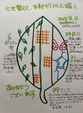 【心を整えて、未来をカラフルに描く】　　　継続864日目