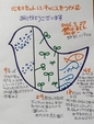 【心をリセットしてチャンスをつかむ】  　　　　継続1119日目