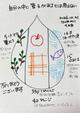 思い込みのkanaiを書いてみたよ～今日の一枚　その2～　9日目